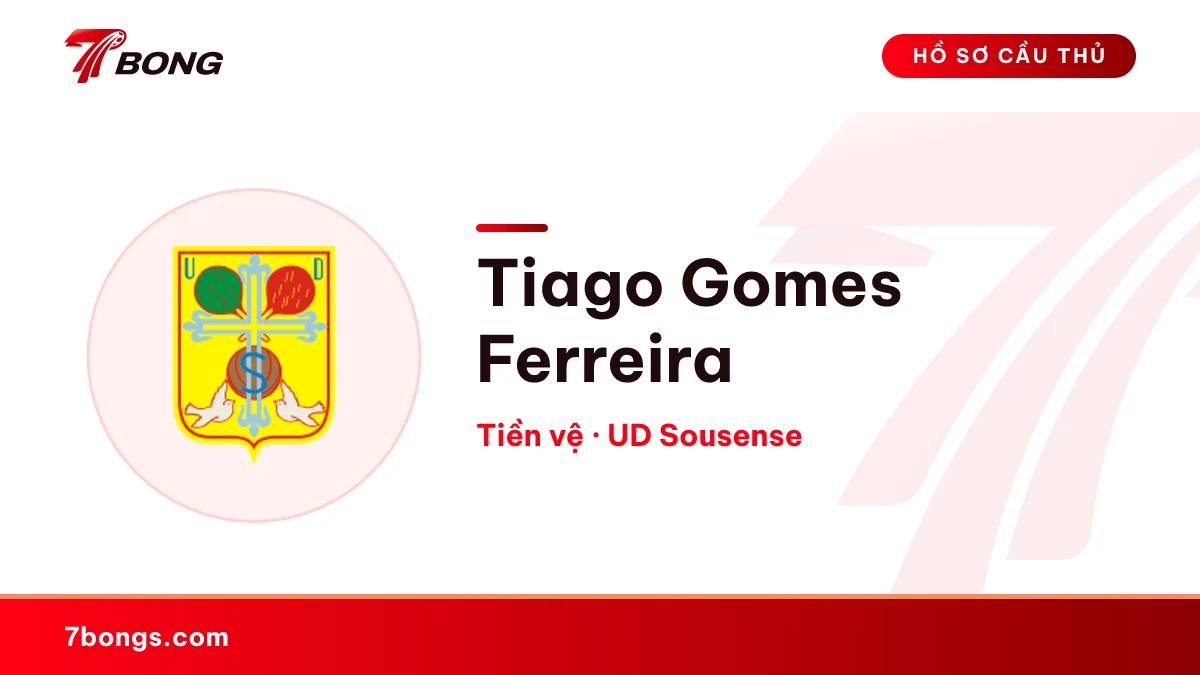 Tiago Gomes Ferreira — UD Sousense