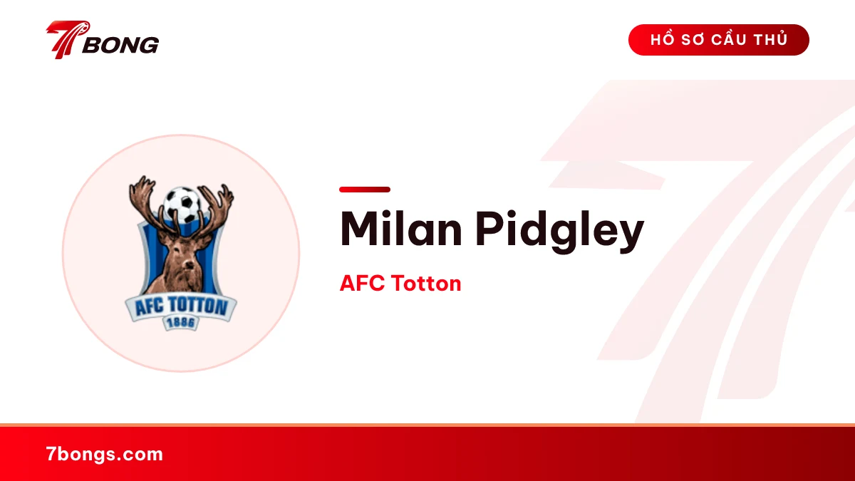 Milan Pidgley — AFC Totton