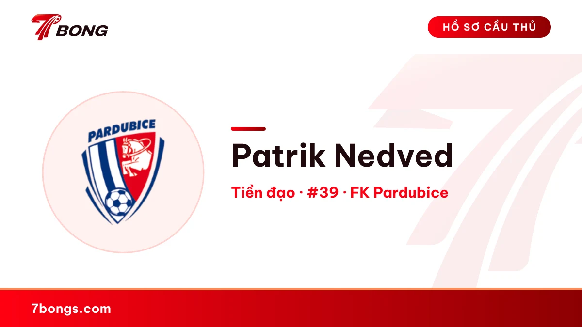 Patrik Nedved — FK Pardubice