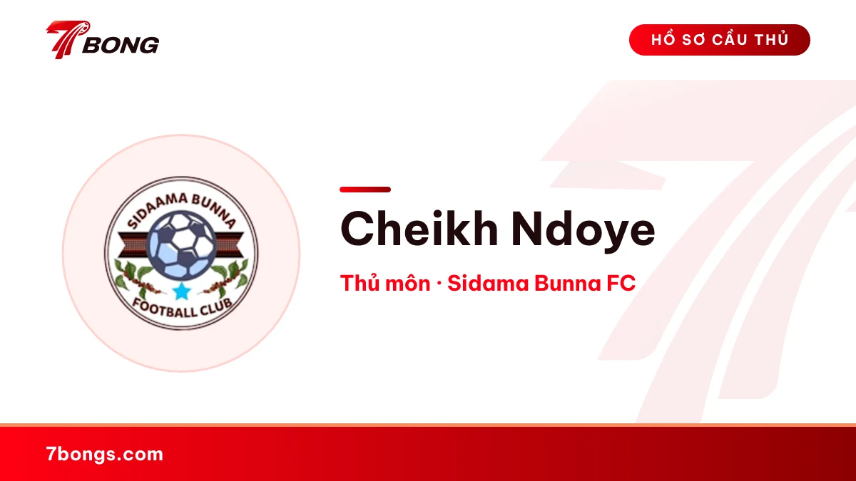 Cheikh Ndoye — Sidama Bunna FC
