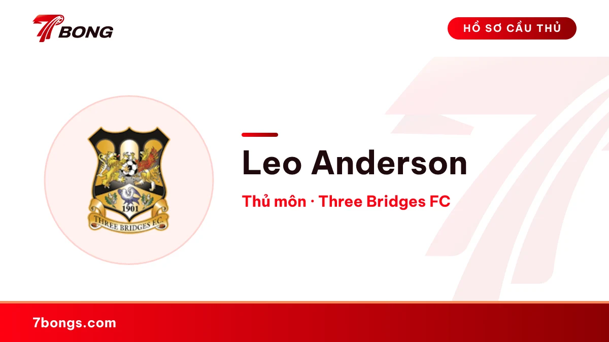 Leo Anderson — Three Bridges FC