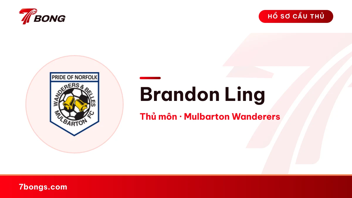 Brandon Ling — Mulbarton Wanderers