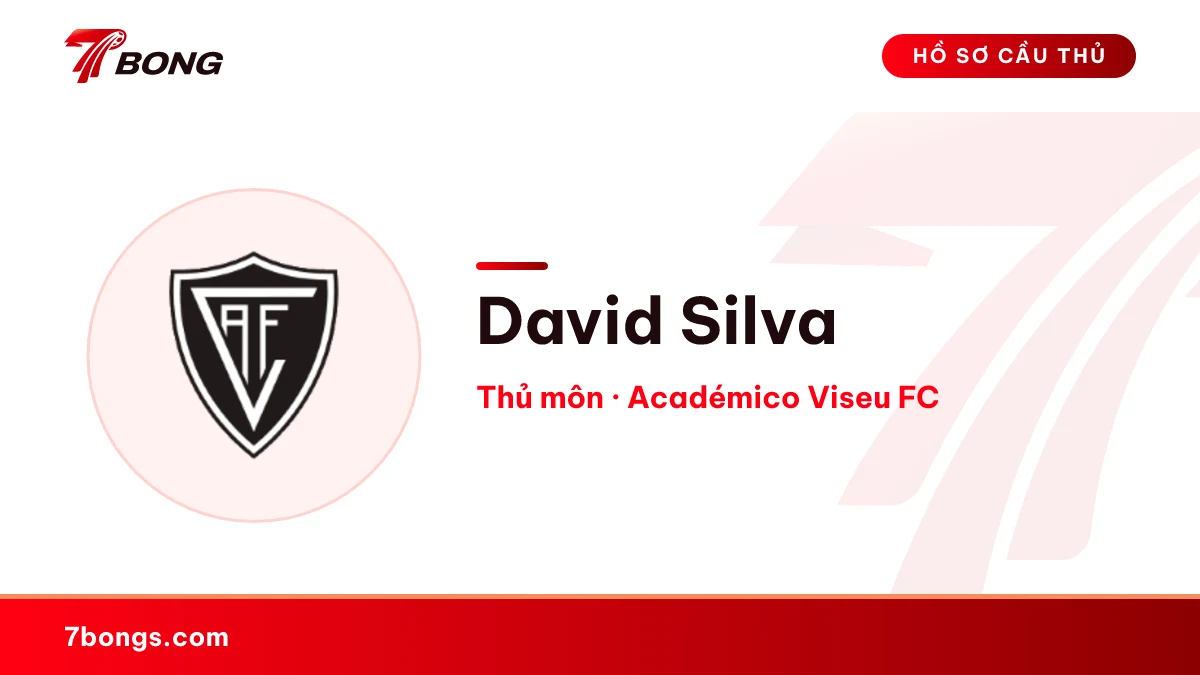 David Silva — Académico Viseu FC
