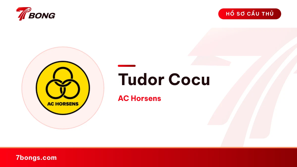 Tudor Cocu — AC Horsens