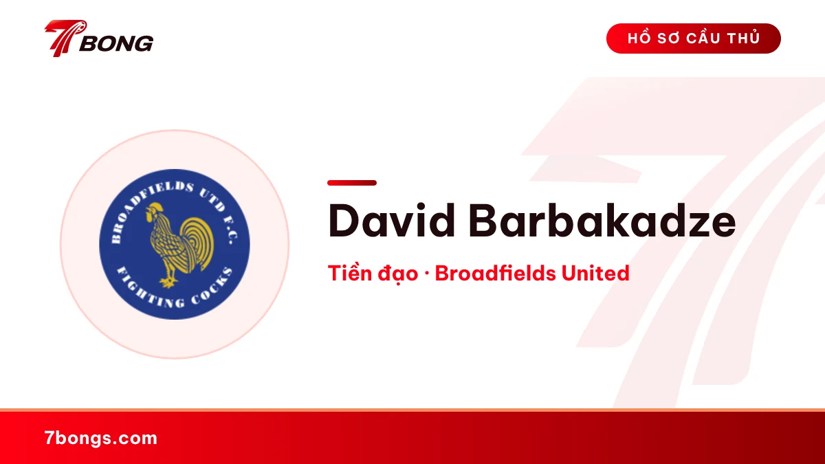 David Barbakadze — Broadfields United