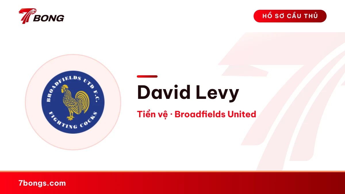 David Levy — Broadfields United