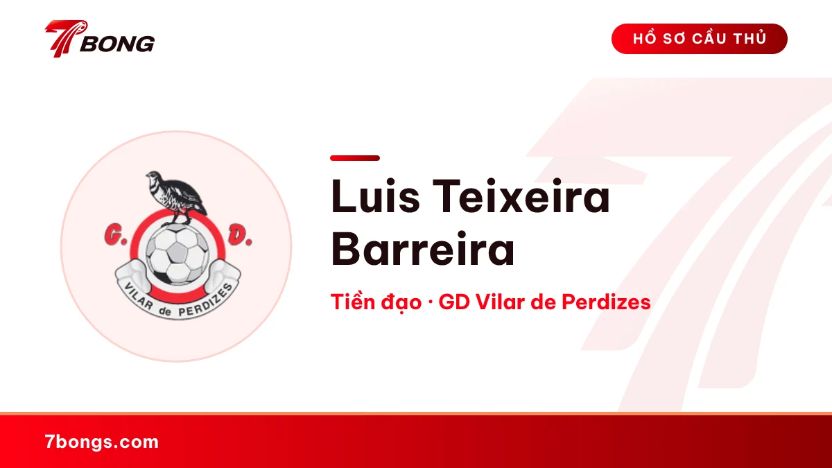 Luis Teixeira Barreira — GD Vilar de Perdizes