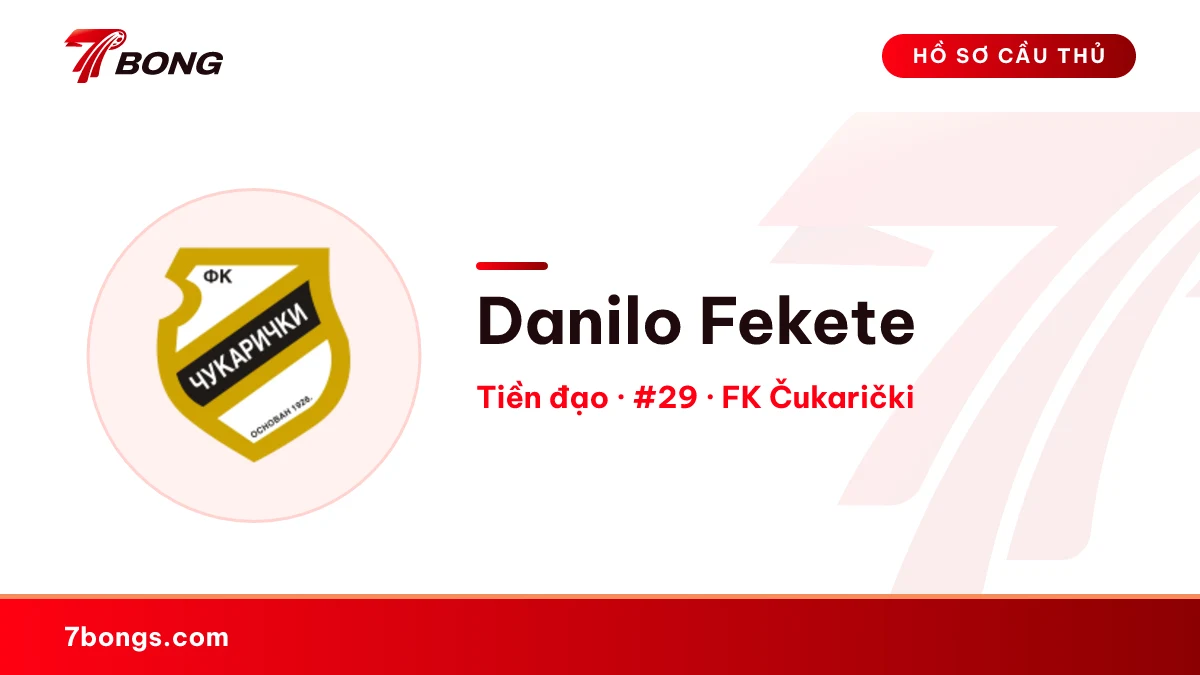 Danilo Fekete — FK Čukarički