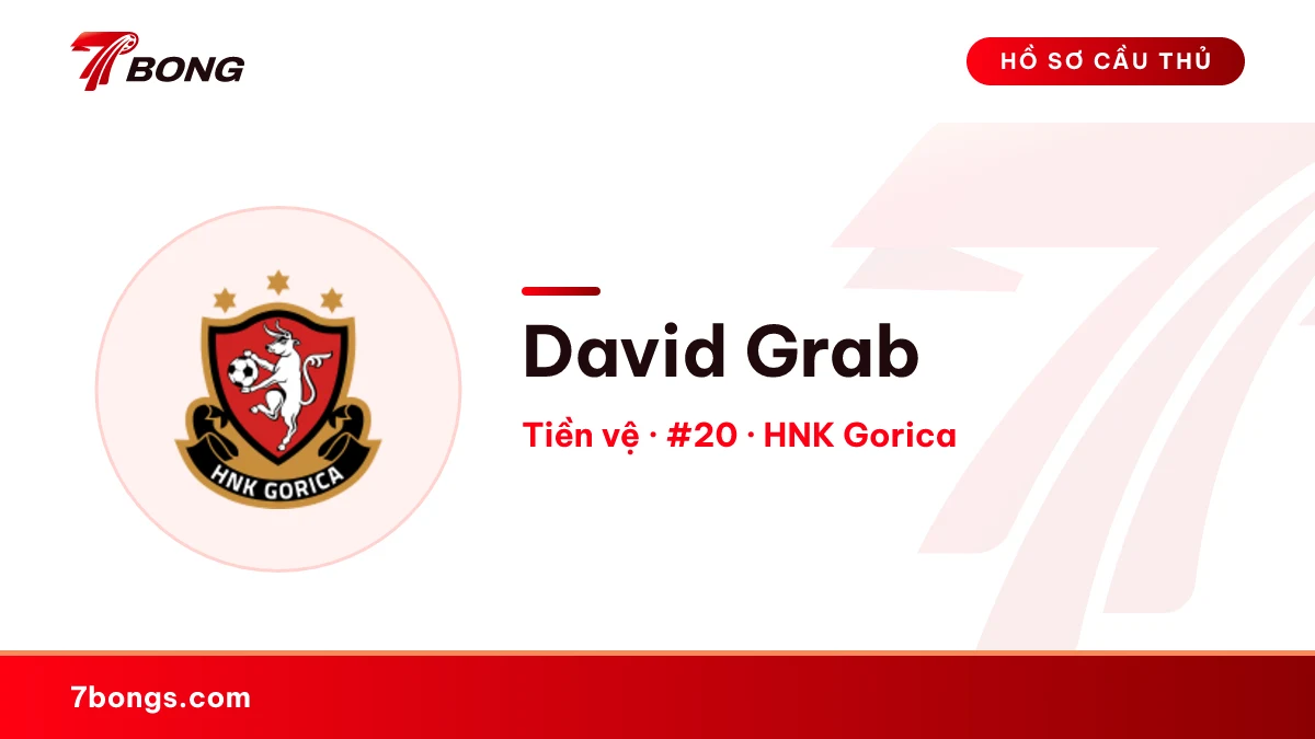 David Grab — HNK Gorica