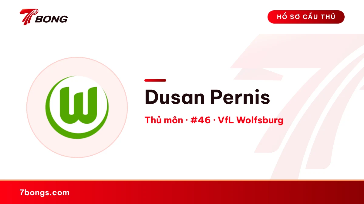 Dusan Pernis — VfL Wolfsburg
