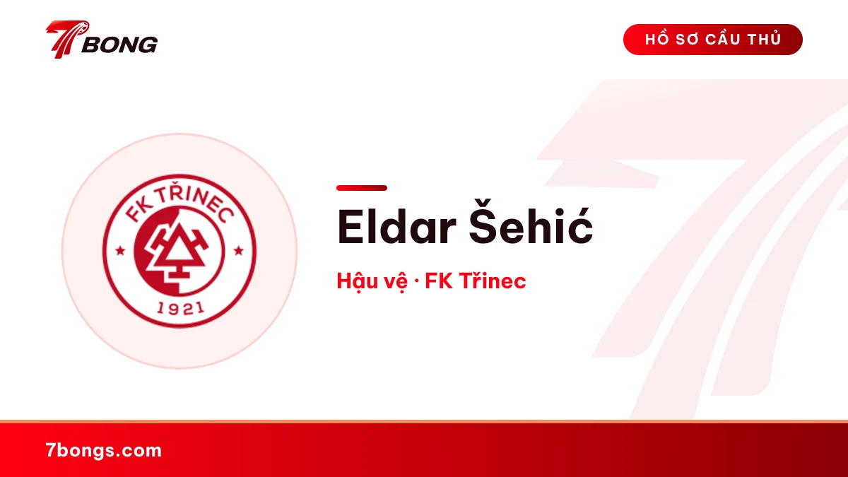 Eldar Šehić — FK Třinec