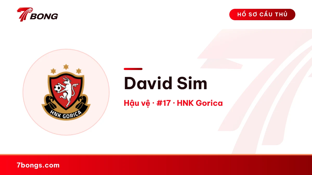 David Sim — HNK Gorica