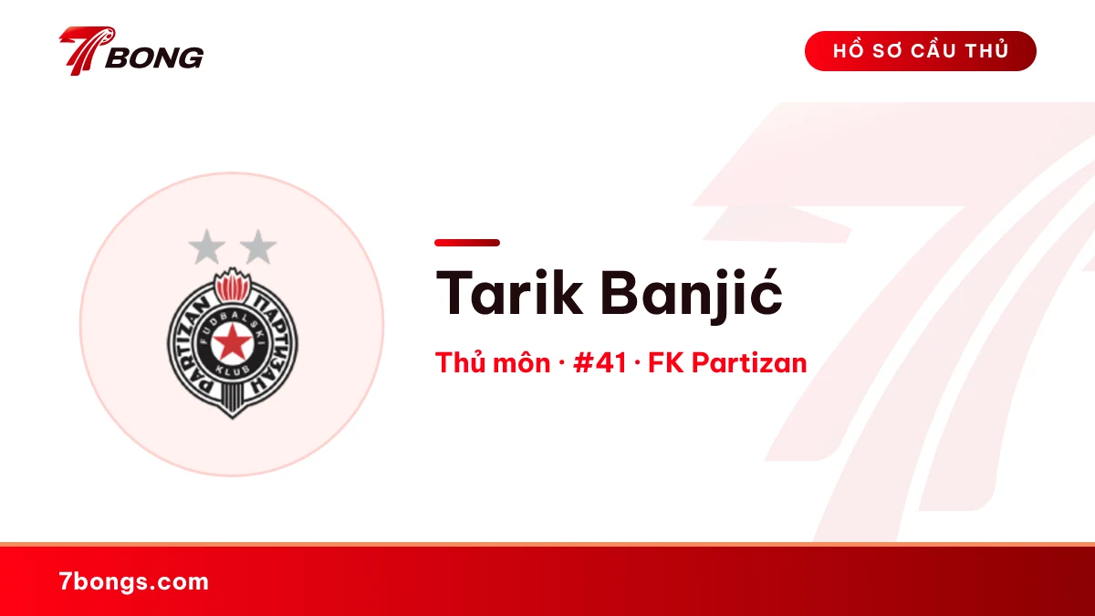 Tarik Banjić — FK Partizan