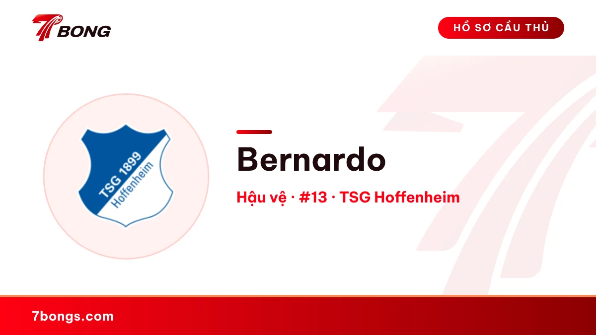 Bernardo — TSG Hoffenheim
