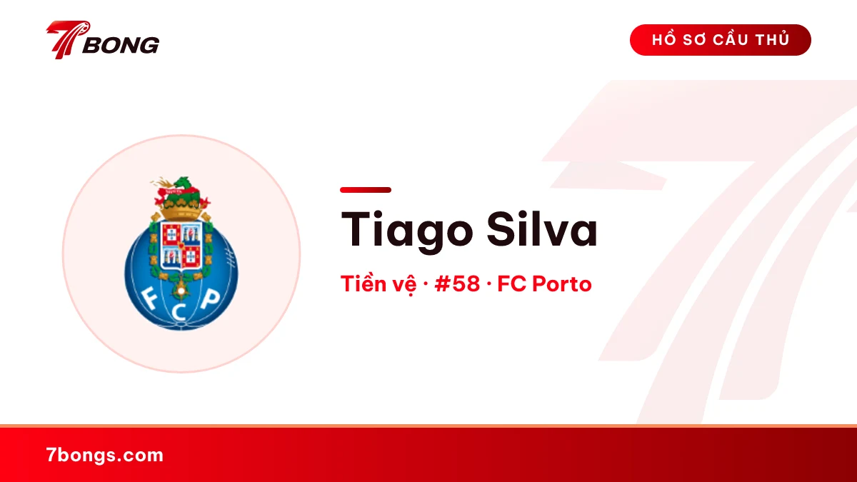 Tiago Silva — FC Porto