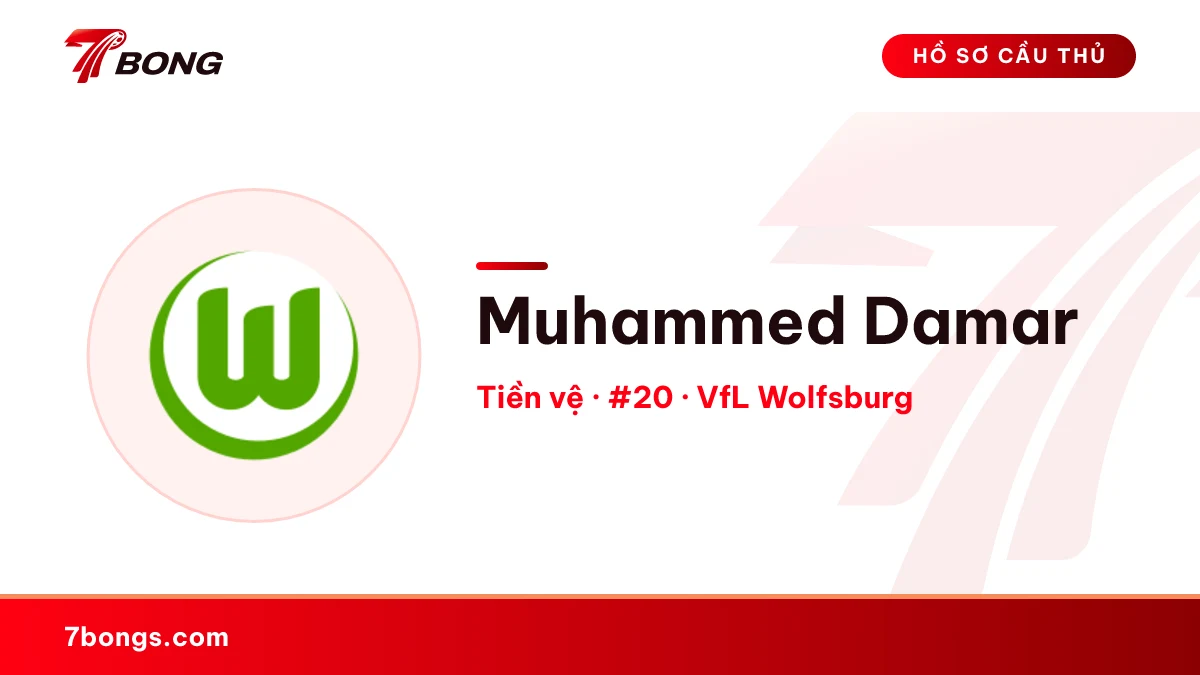 Muhammed Damar — VfL Wolfsburg