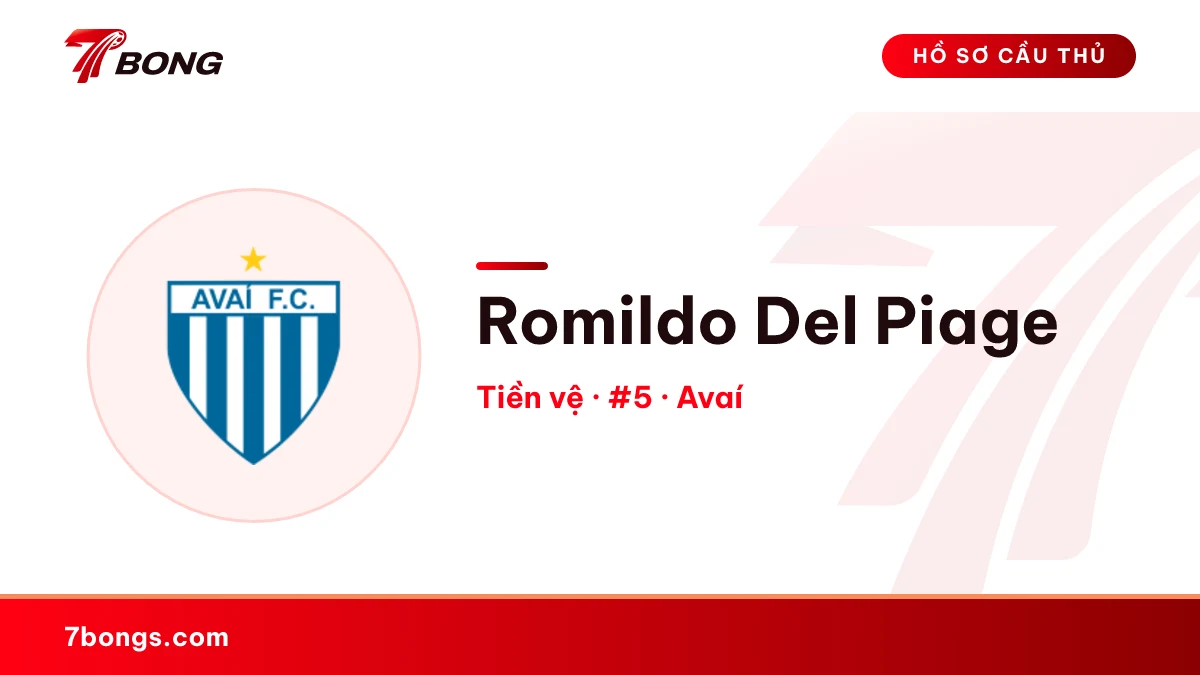 Romildo Del Piage — Avaí
