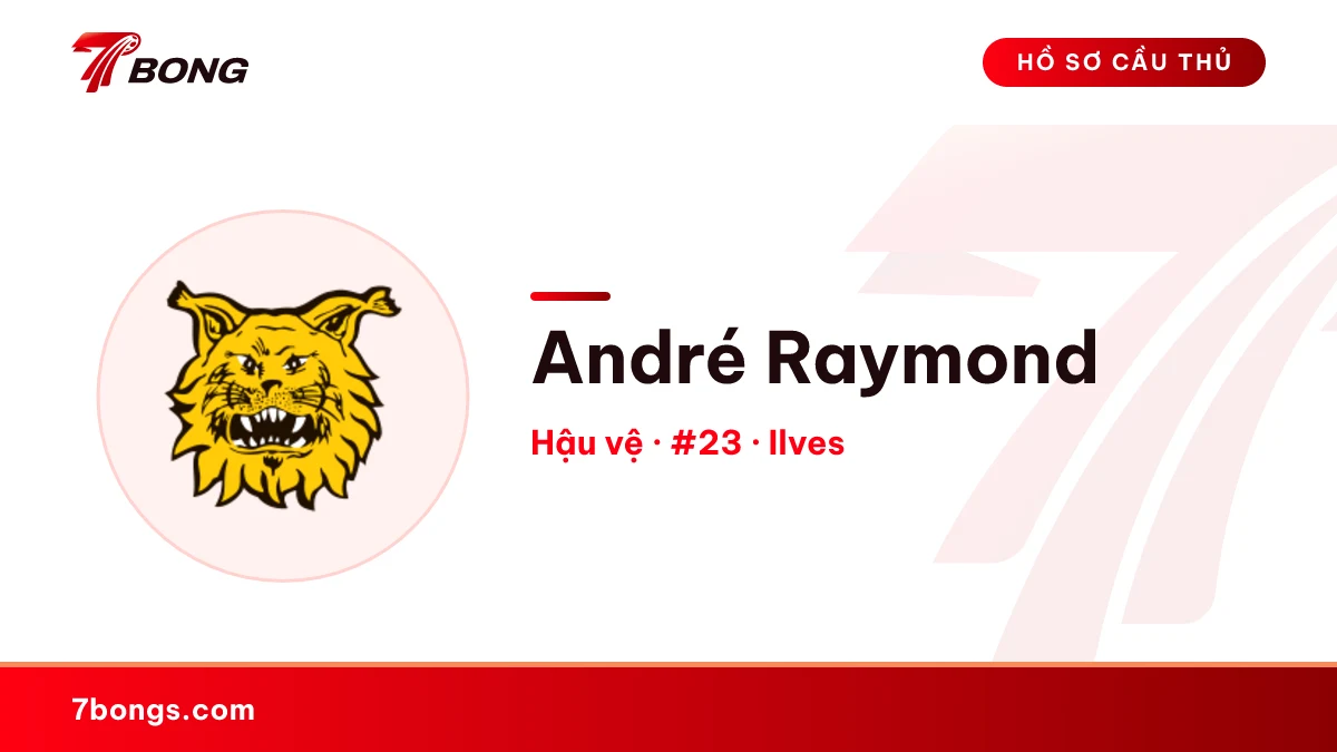 André Raymond — Ilves