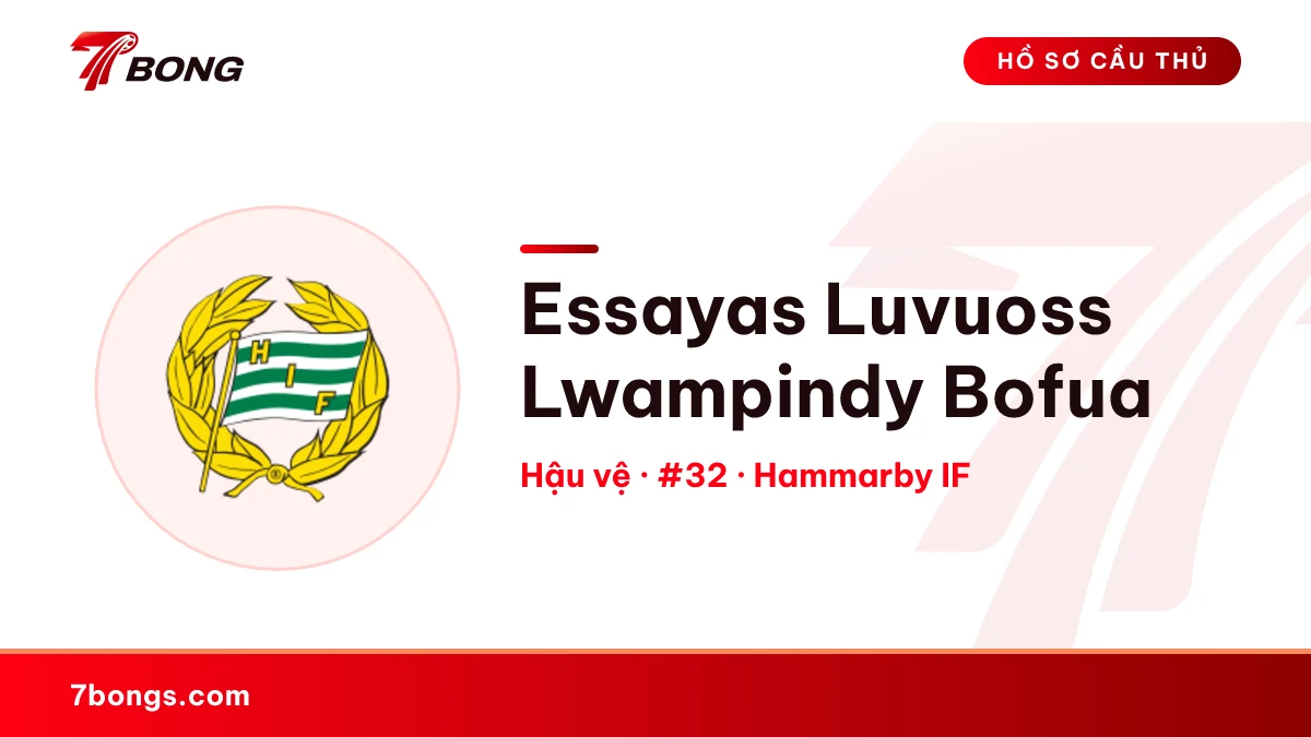 Essayas Luvuoss Lwampindy Bofua — Hammarby IF