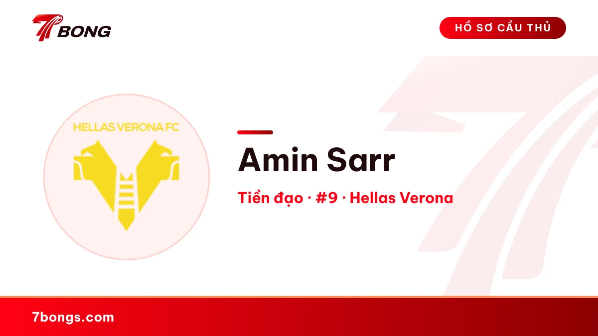 Amin Sarr — Hellas Verona