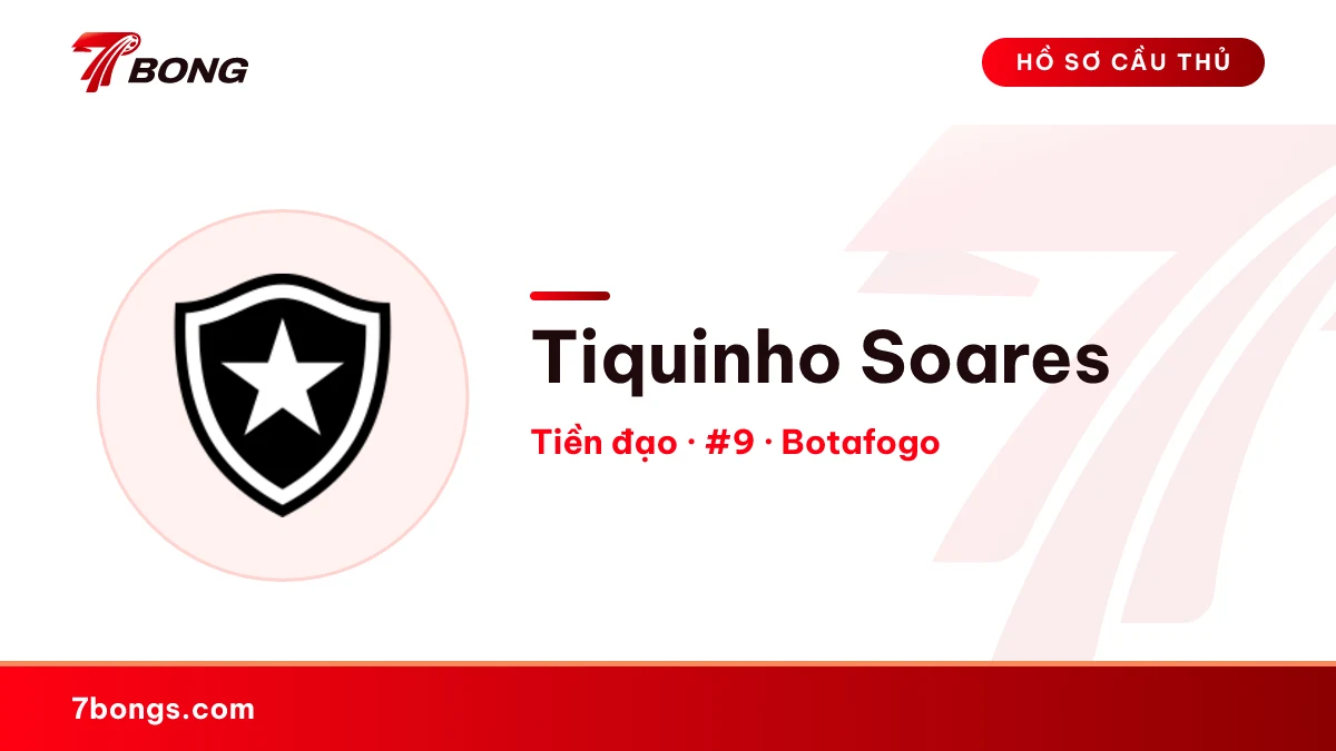 Tiquinho Soares — Botafogo