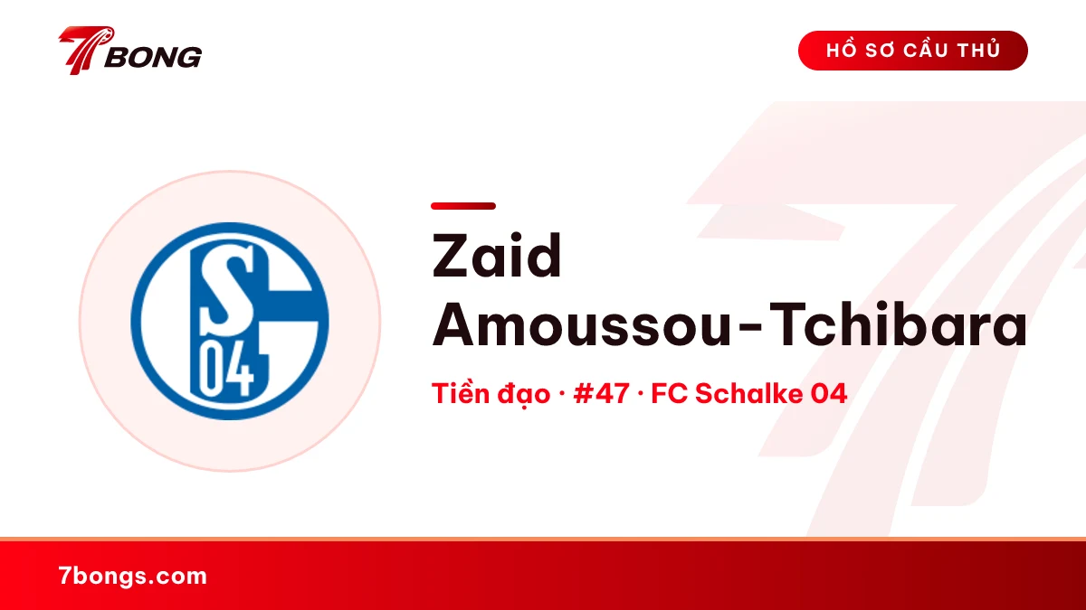 Zaid Amoussou-Tchibara — FC Schalke 04