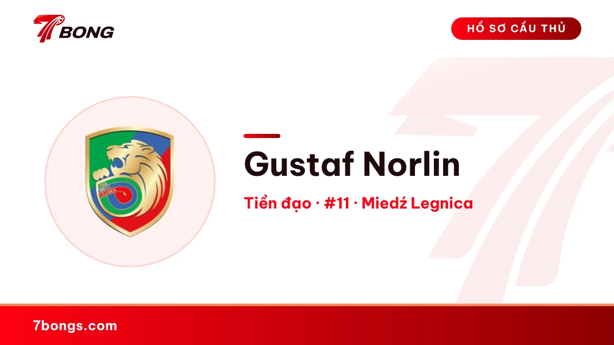 Gustaf Norlin — Miedź Legnica