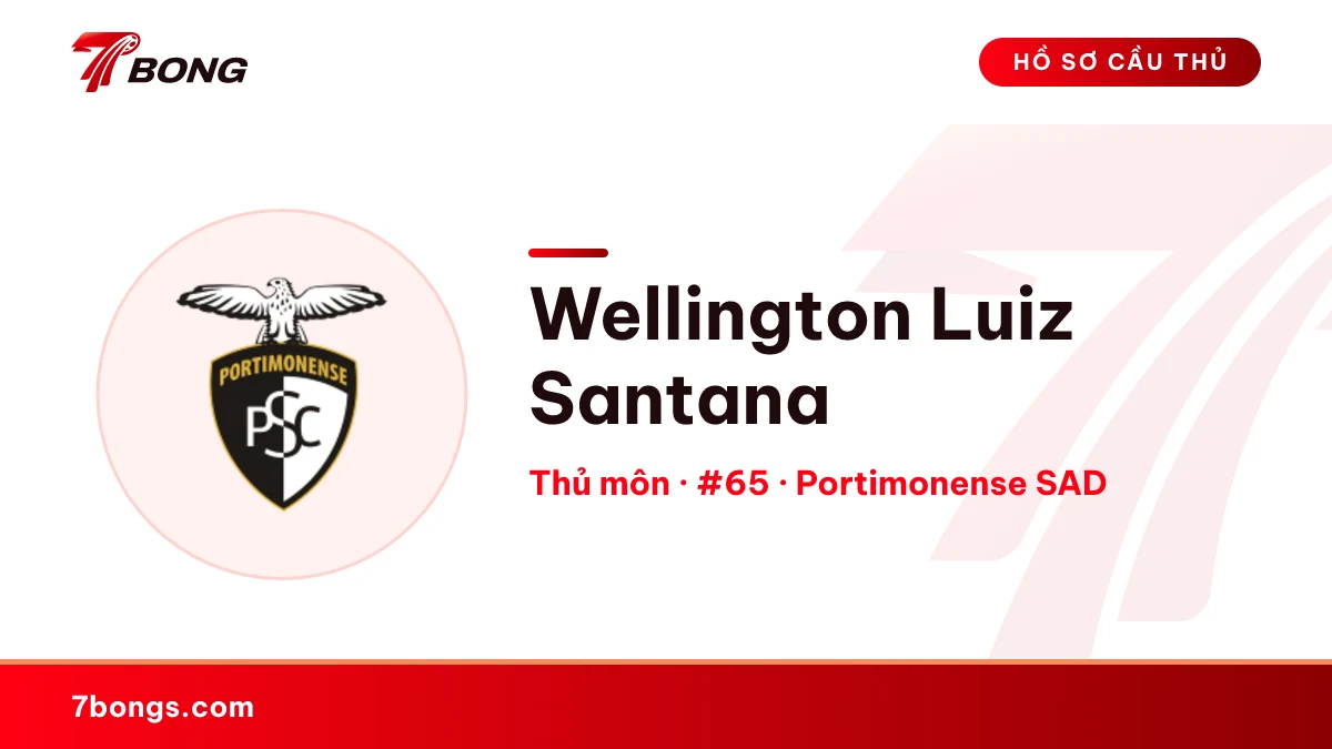 Wellington Luiz Santana — Portimonense SAD