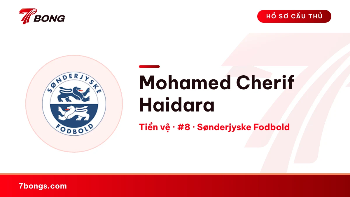 Mohamed Cherif Haidara — Sønderjyske Fodbold