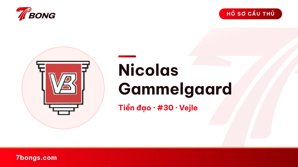 Nicolas Gammelgaard — Vejle