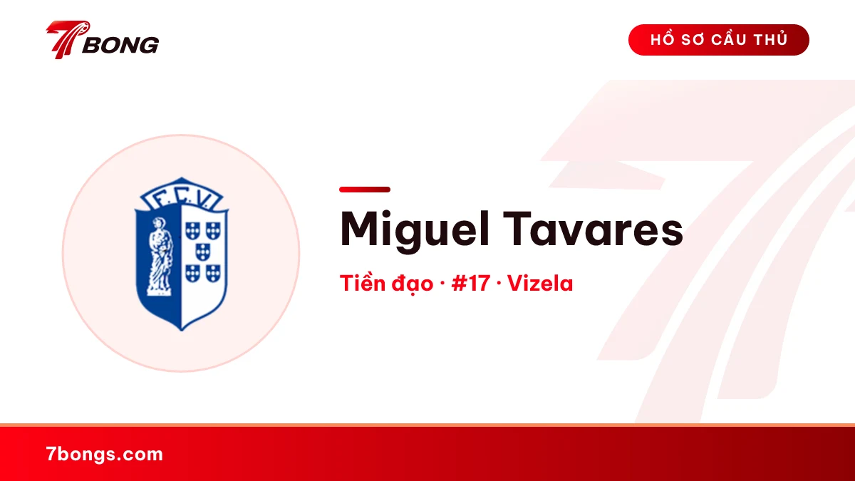 Miguel Tavares — Vizela