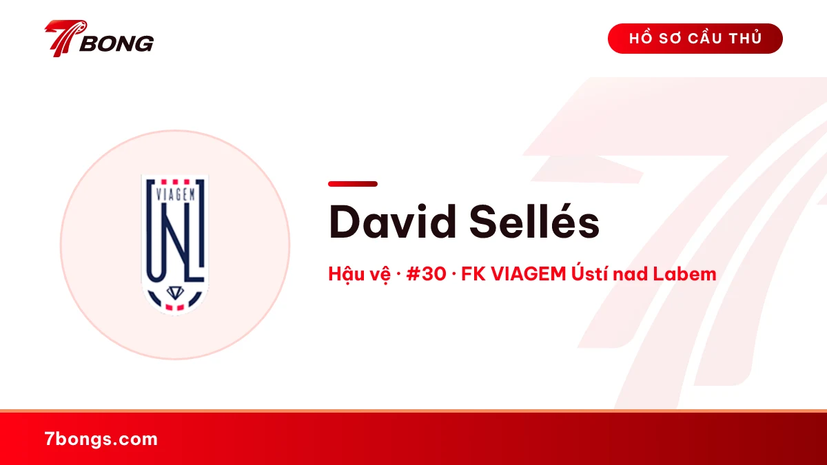 David Sellés — FK VIAGEM Ústí nad Labem