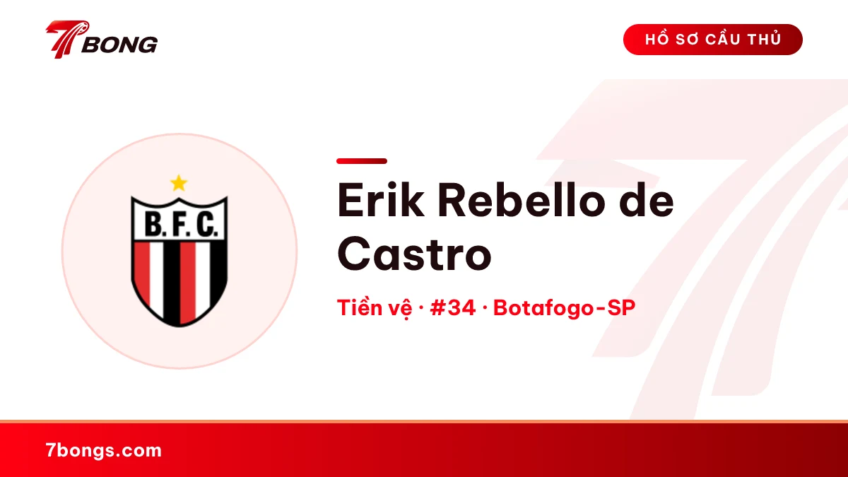 Erik Rebello de Castro — Botafogo-SP