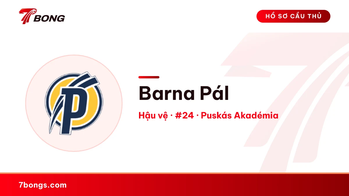 Barna Pál — Puskás Akadémia