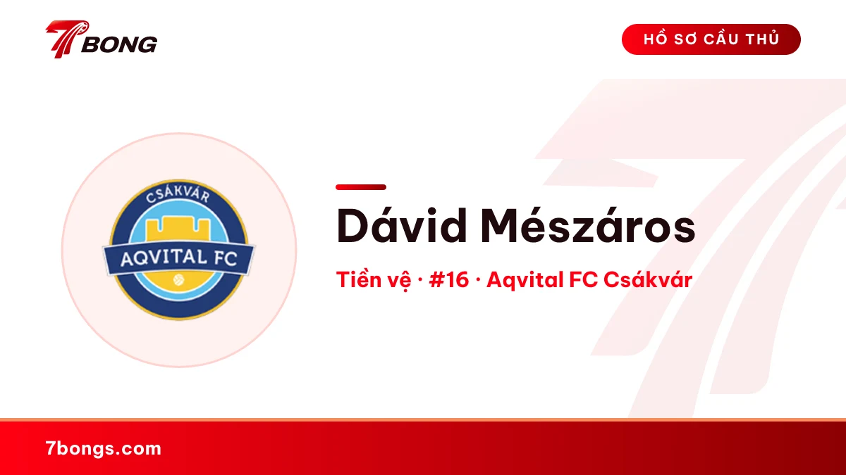 Dávid Mészáros — Aqvital FC Csákvár