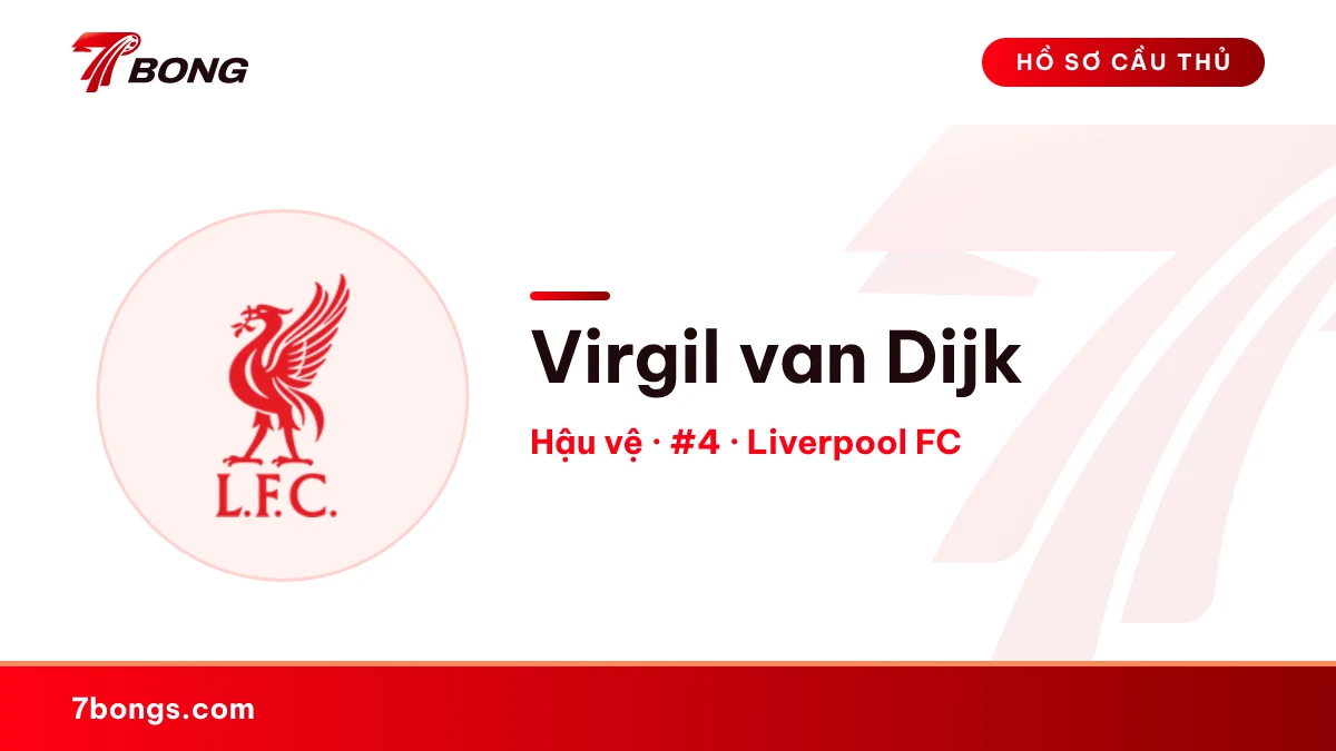 Virgil van Dijk — Liverpool FC