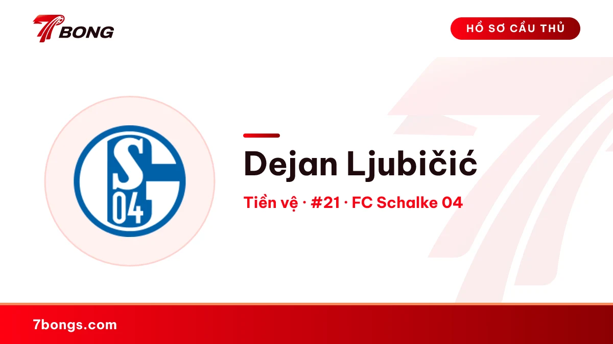 Dejan Ljubičić — FC Schalke 04
