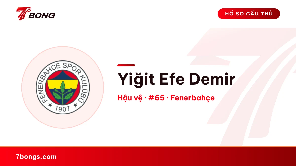 Yiğit Efe Demir — Fenerbahçe