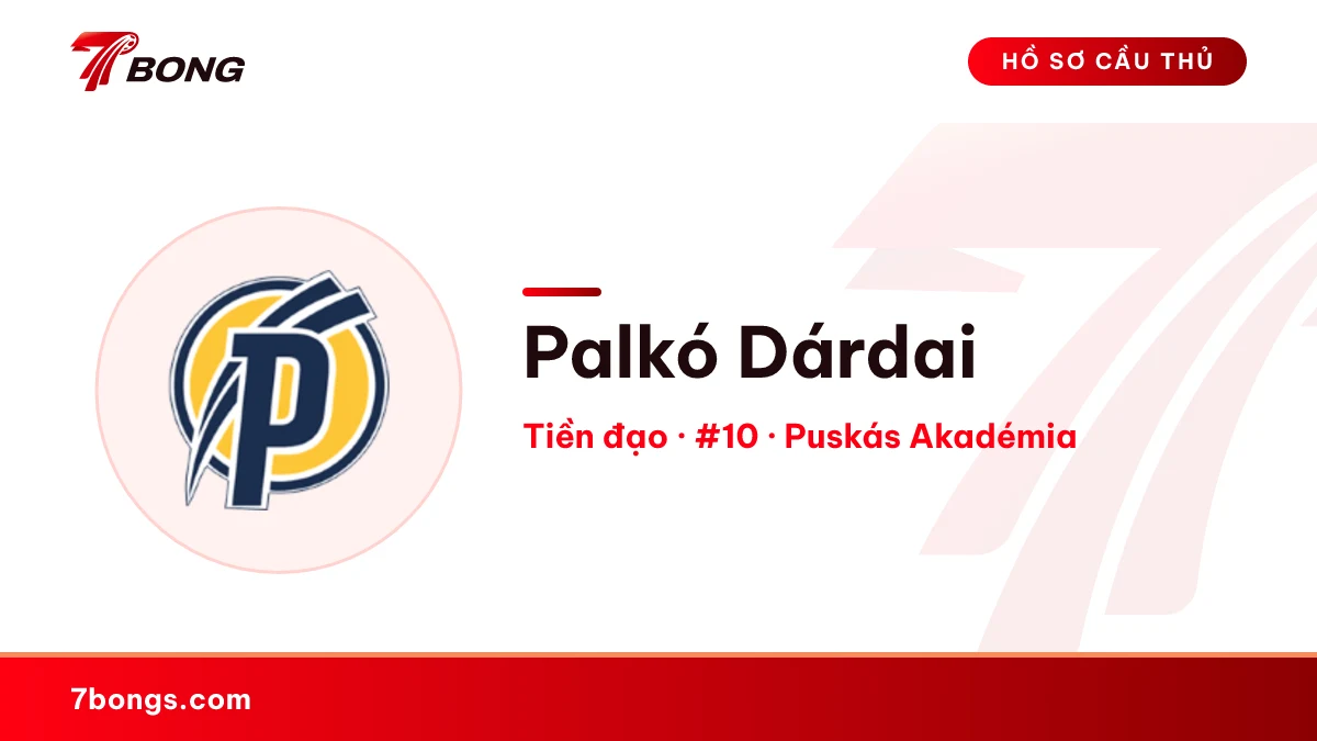 Palkó Dárdai — Puskás Akadémia