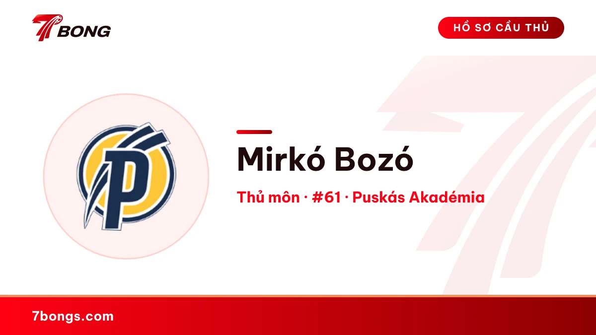Mirkó Bozó — Puskás Akadémia