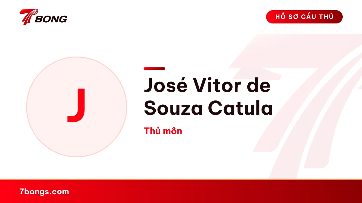 José Vitor  de Souza Catula