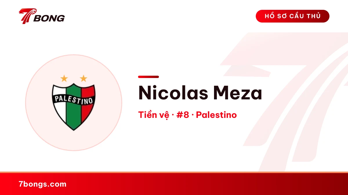 Nicolas Meza — Palestino