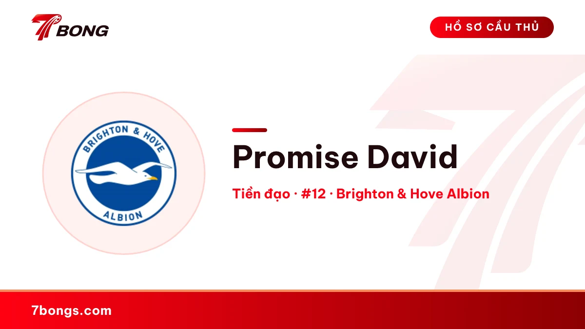 Promise David — Brighton & Hove Albion