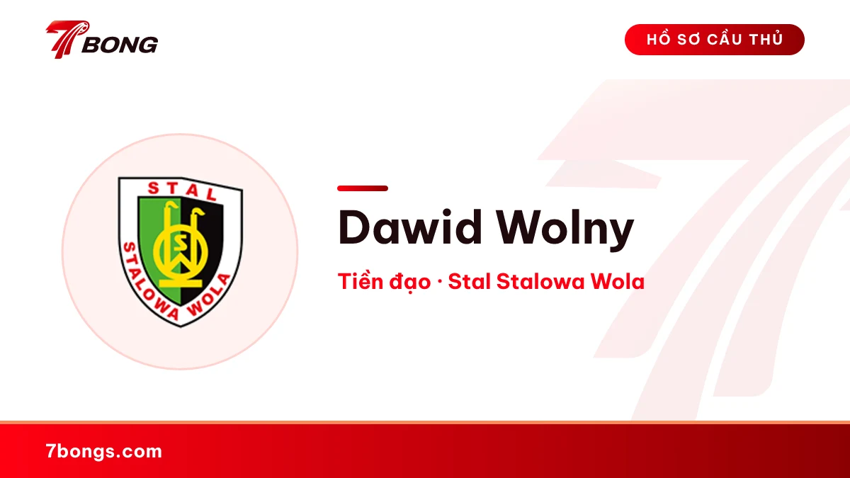 Dawid Wolny — Stal Stalowa Wola