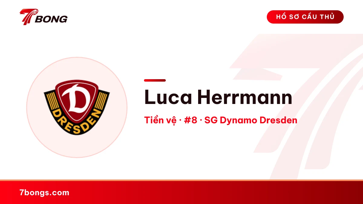 Luca Herrmann — SG Dynamo Dresden
