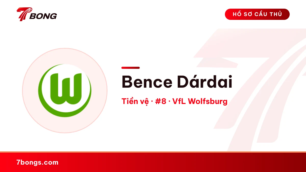 Bence Dárdai — VfL Wolfsburg