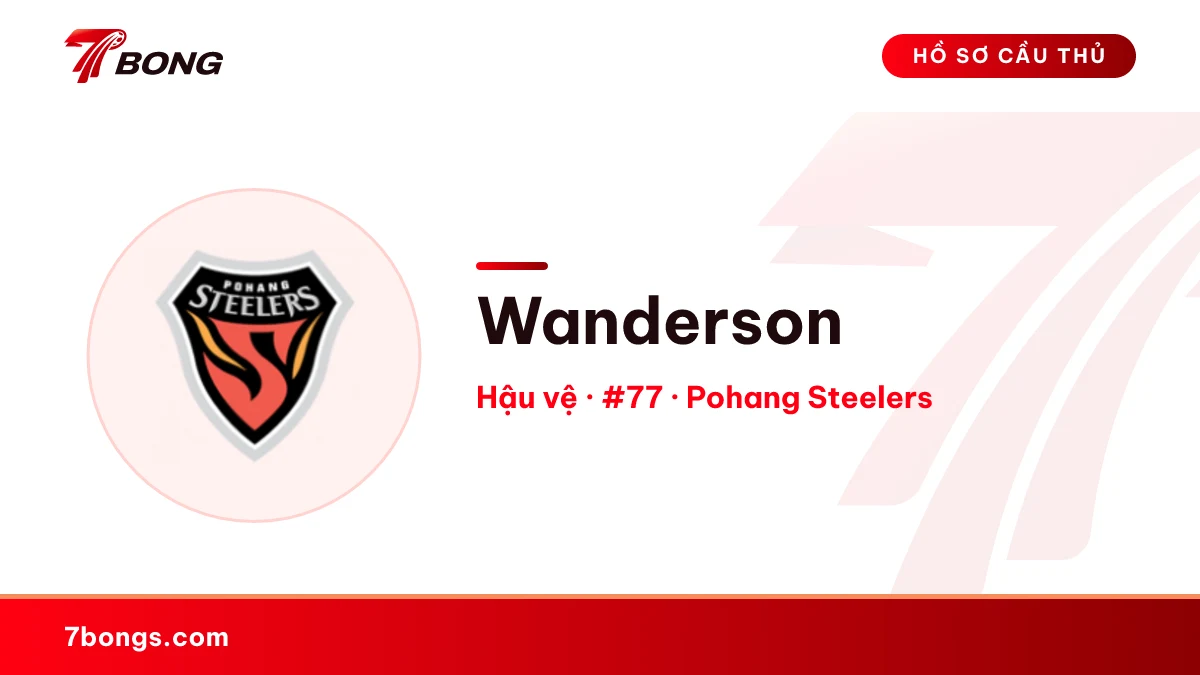 Wanderson — Pohang Steelers