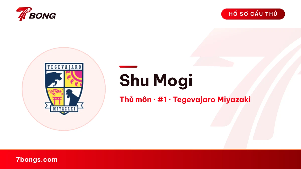 Shu Mogi — Tegevajaro Miyazaki