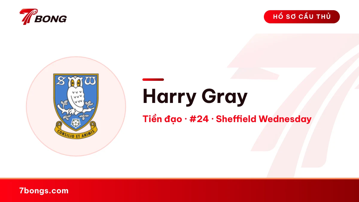 Harry Gray — Sheffield Wednesday