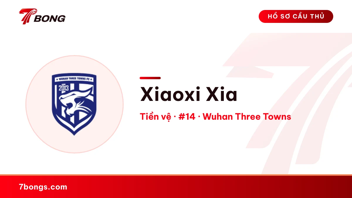 Xiaoxi Xia — Wuhan Three Towns